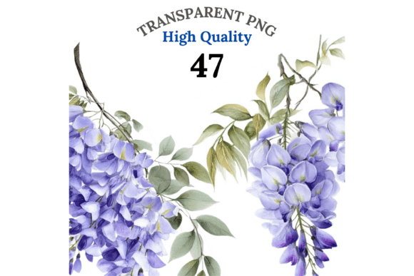 47 Wisteria Clipart: The Art of Botanical Storytelling