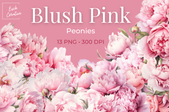 Blush Pink Peonies Watercolor Flowers Clipart