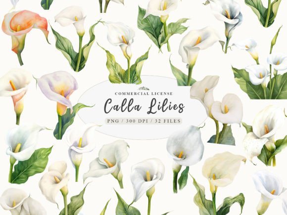 Calla Lily Prints: White Flower Clipart for Elegant Design