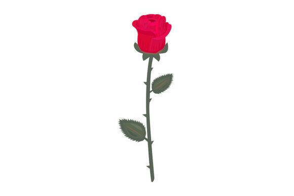 The Timeless Allure of a Single Red Rose with Leaves