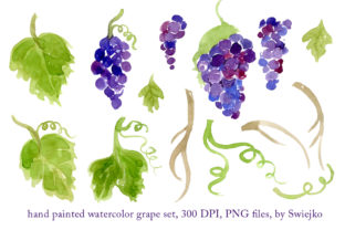 Watercolor Grapes, Hand Painted: A Versatile Design Collection
