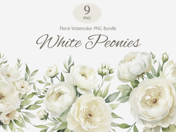White Peonies Watercolor PNG Bundle: Timeless Floral Design